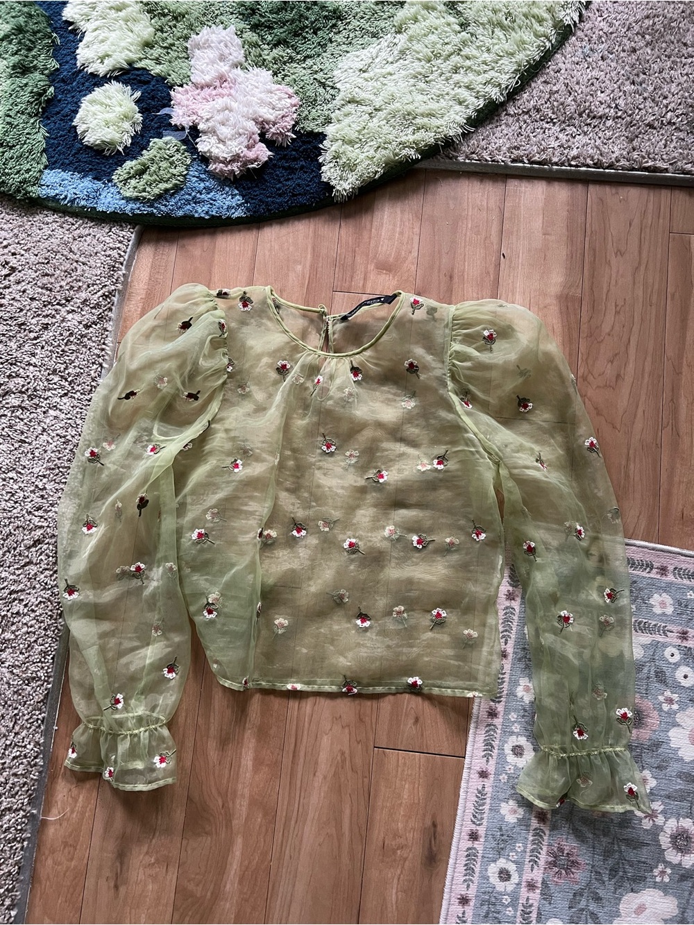 Zara Sheer Green Floral-Embroidered Puff-Sleeve Top
